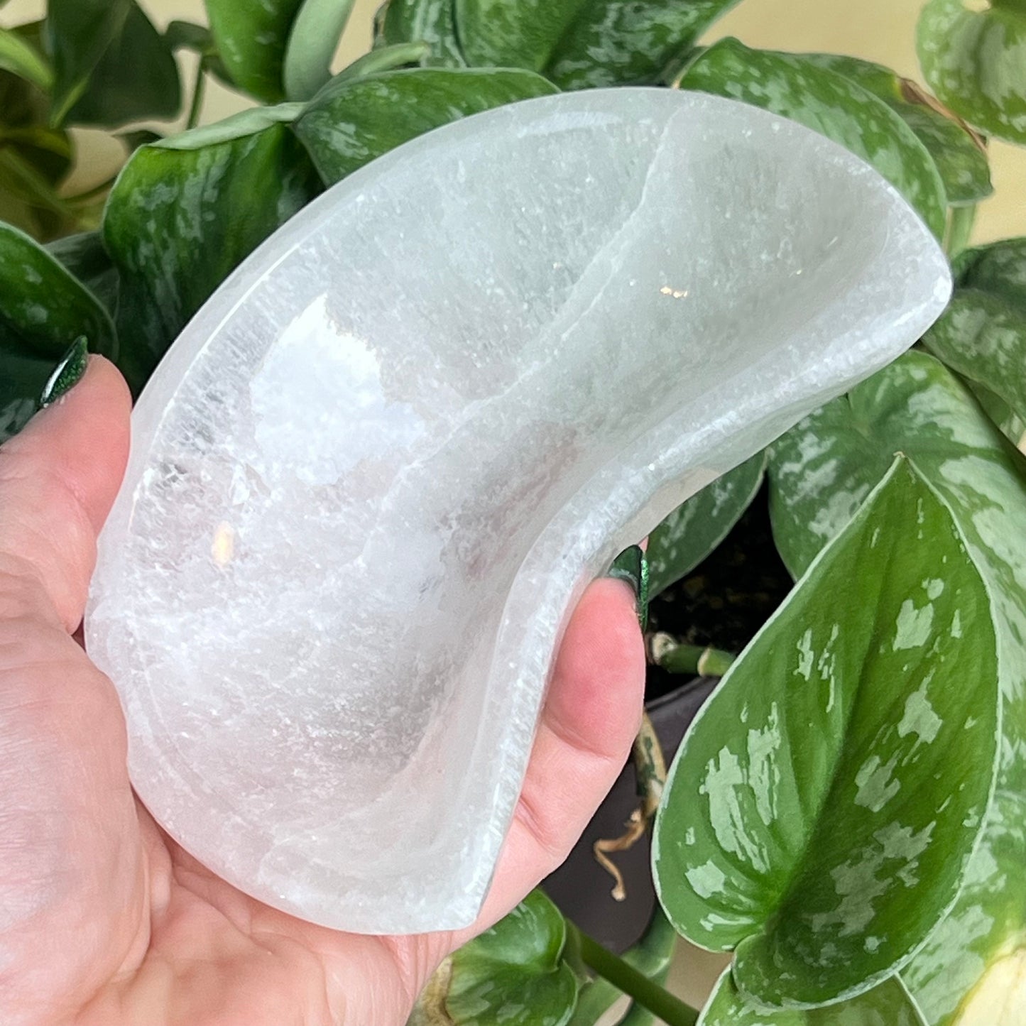 Selenite Crescent Moon Bowl